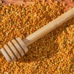 Bee Pollen For Bearded Dragons: Benefits And Usage