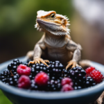 Can A Bearded Dragon Eat Blackberries? Find Out More