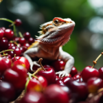 Can Your Bearded Dragons Eat Cherries? Answer Is No