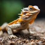 Best Bugs To Feed Your Bearded Dragon (Besides Crickets