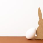Can Bunny Eat Cardboard?