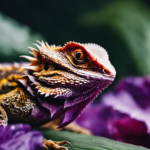 Can Bearded Dragons Eat Red Cabbage Safely