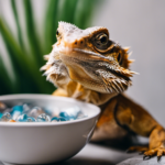 Do Bearded Dragons Need Water? (How To Make Sure They Get Enough