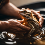 How To Bathe A Bearded Dragon (The Right Way