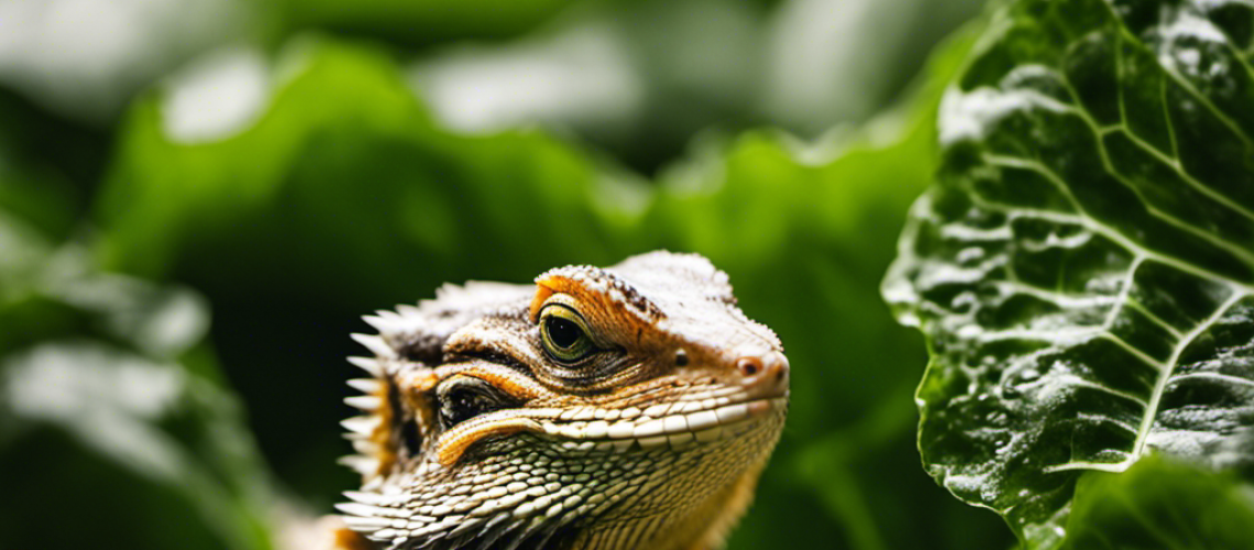 P photo of a bearded dragon chomping on a shiny, dark green leaf of collard greens, with a sprinkle of chopped vegetables and a drizzle of honey